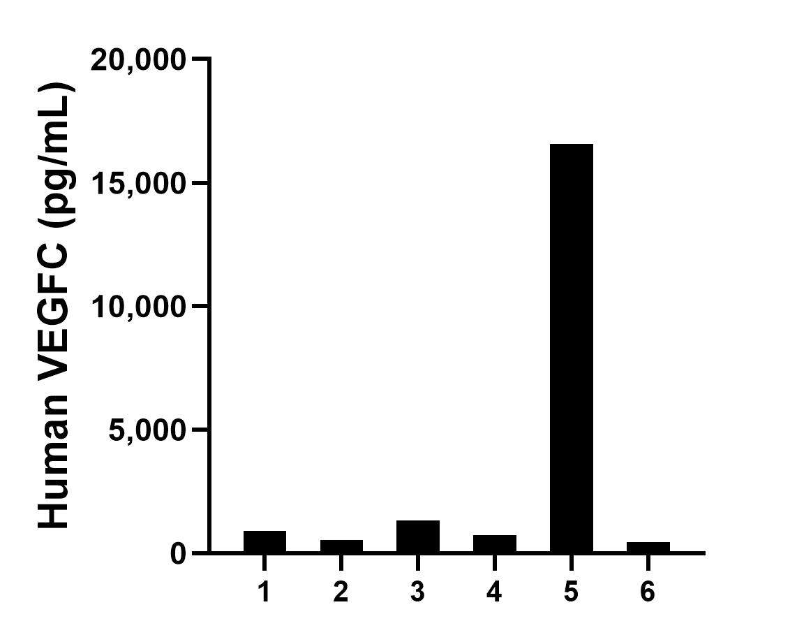 Serum of six individual healthy human donors was measured. The VEGFC concentration of detected samples was determined to be 3,419.6 pg/mL with a range of 440.5 - 16,575.6 pg/mL.